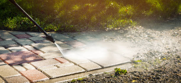 Best Dumpster Area Cleaning  in Elmwood, IL